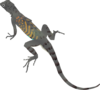 Gray And Orange Striped Lizard Clip Art